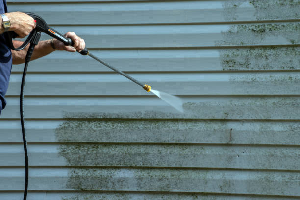 Best Affordable Power Washing  in St Helen, MI