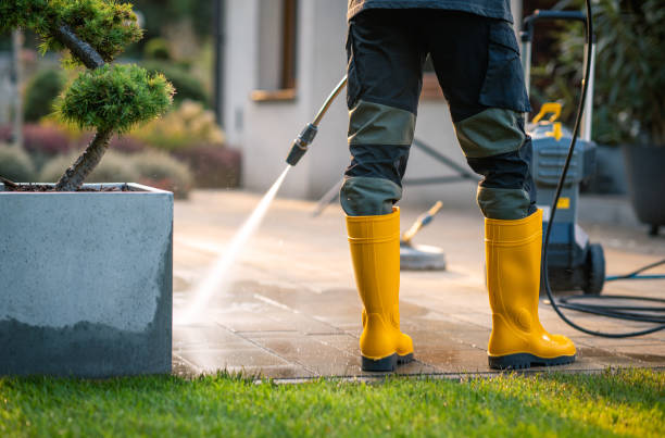 Best Pressure Washing Services Near Me  in St Helen, MI